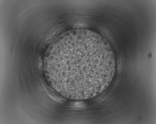 X0000115120173200912081353