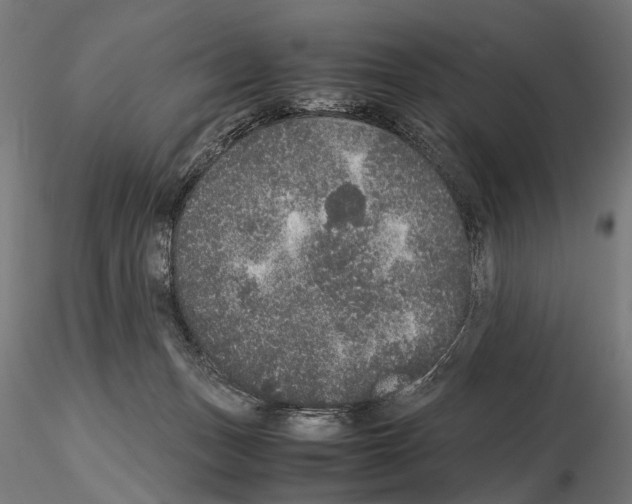 X0000115120175200912081353