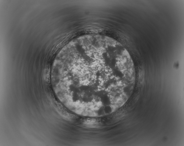 X0000115120177200912081353