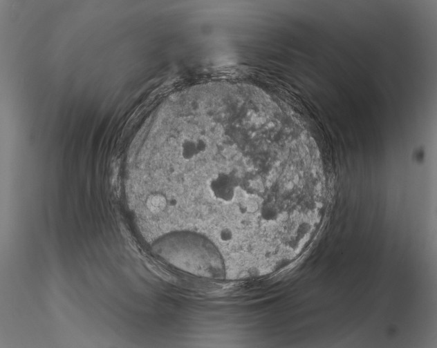 X0000115120178200912081353