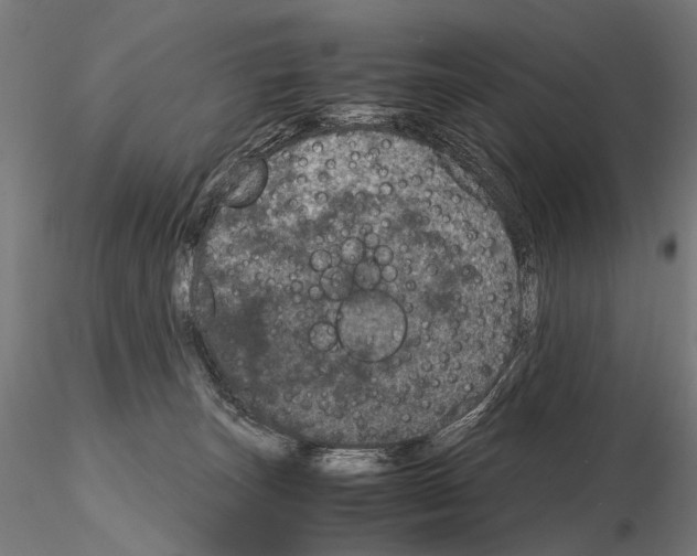 X0000115120179200912081353