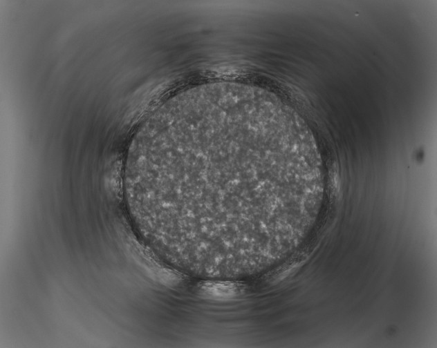 X0000115120181200912081353