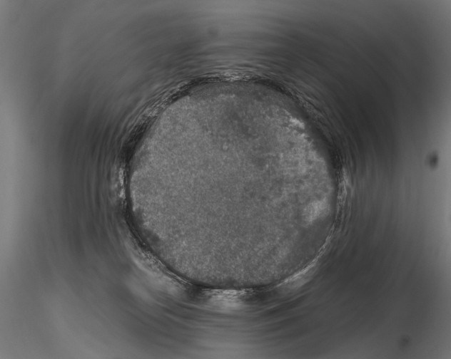 X0000115120182200912081353