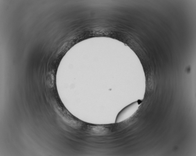 X0000115120183200912081353