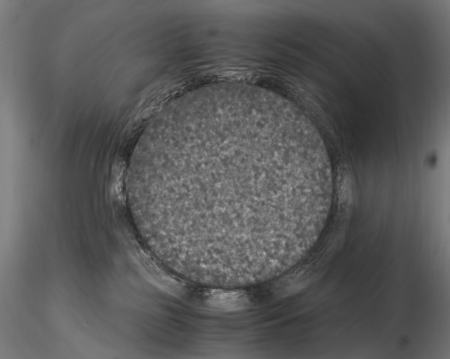 X0000115120185200912081353