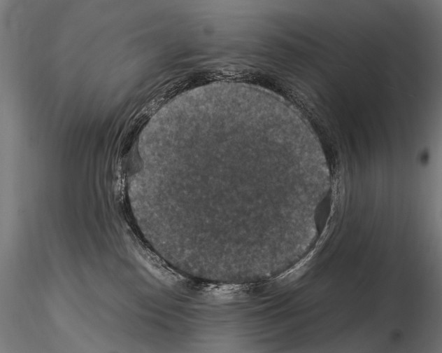 X0000115120186200912081353