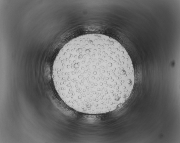 X0000115120187200912081353