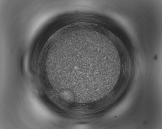 X0000115120189200912081353