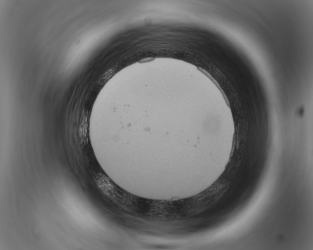 X0000115120190200912081353