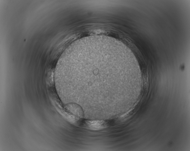 X0000115120191200912081353