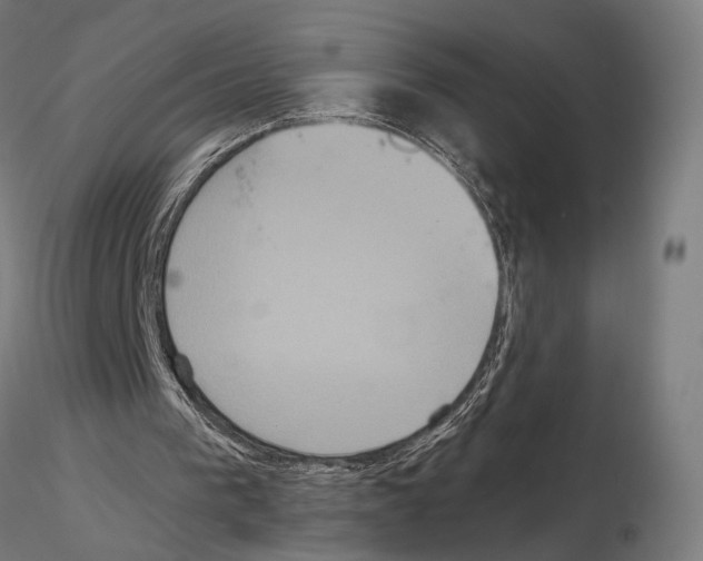 X0000115120193200912081352