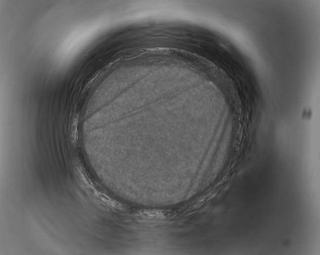 X0000115120194200912081352