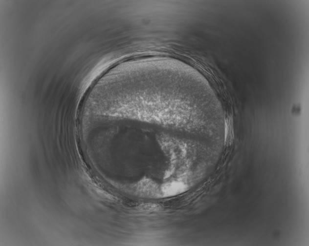 X0000115120195200912081352