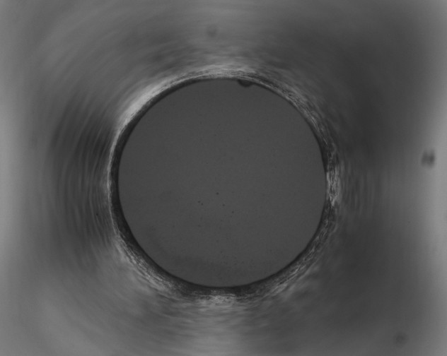 X0000115120196200912081352