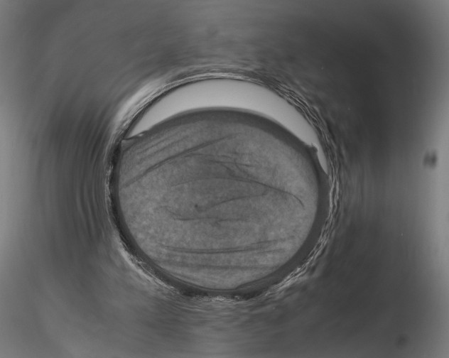 X0000115120197200912081352