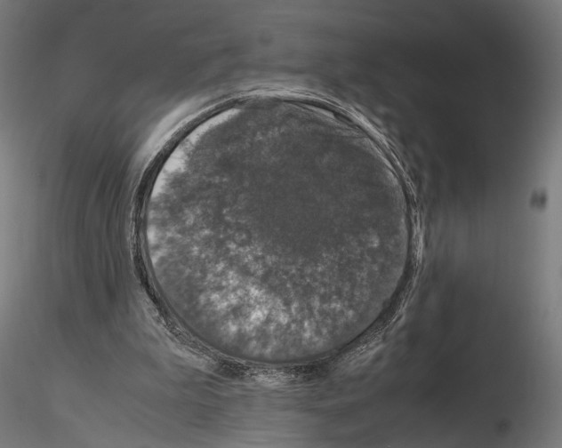 X0000115120199200912081352