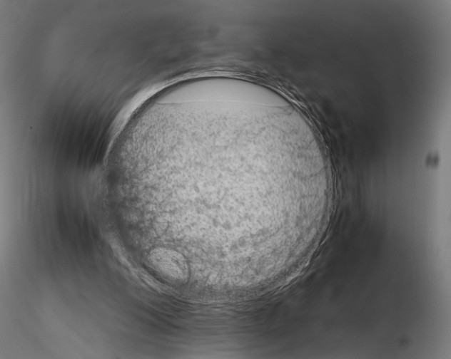 X0000115120200200912081352