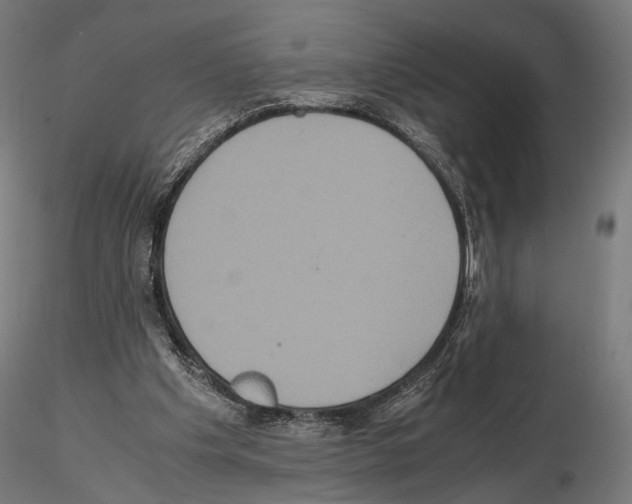 X0000115120201200912081352