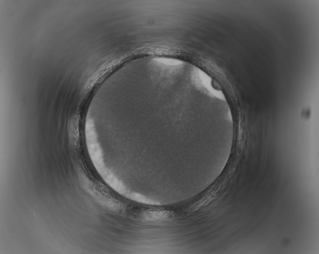 X0000115120202200912081352