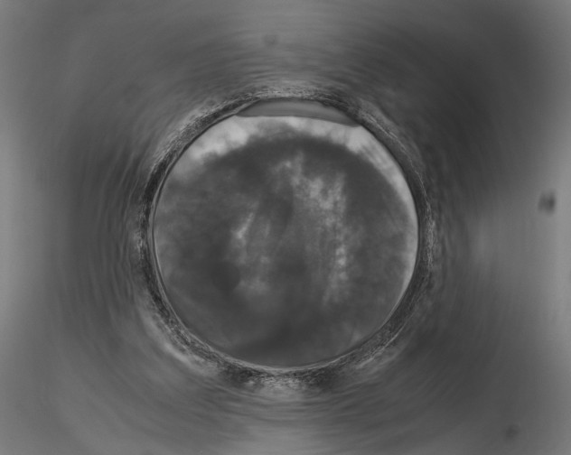 X0000115120203200912081352