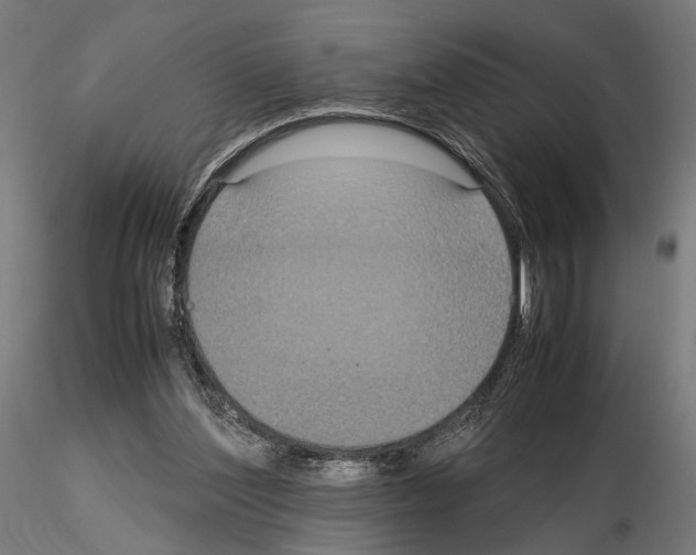 X0000115120204200912081352