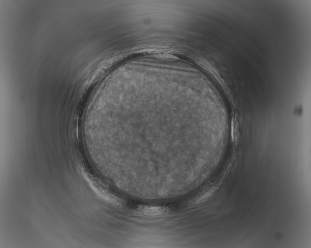 X0000115120205200912081352