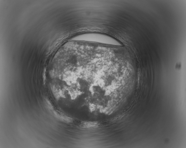 X0000115120206200912081352