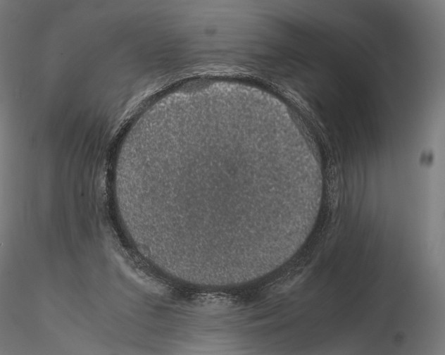 X0000115120207200912081352