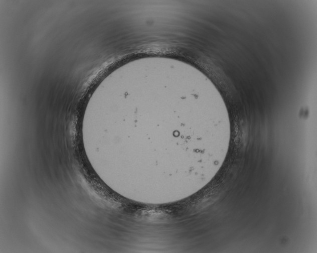 X0000115120208200912081352