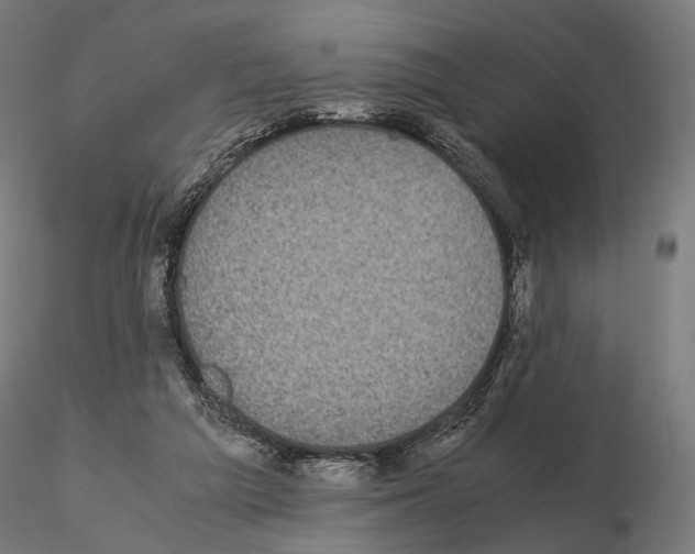 X0000115120209200912081352