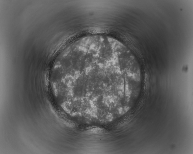 X0000115120210200912081352