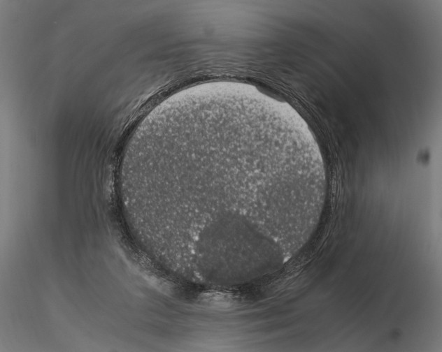 X0000115120211200912081352