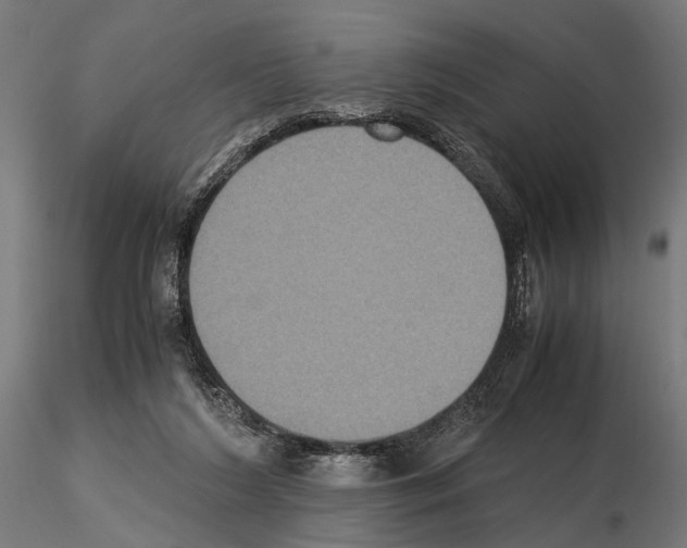 X0000115120212200912081352