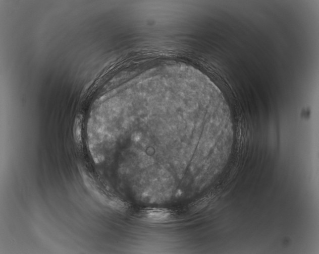 X0000115120214200912081352