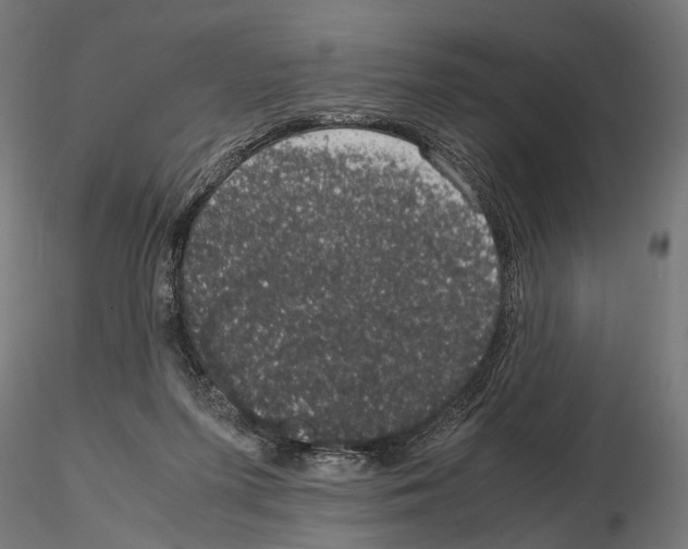 X0000115120215200912081352