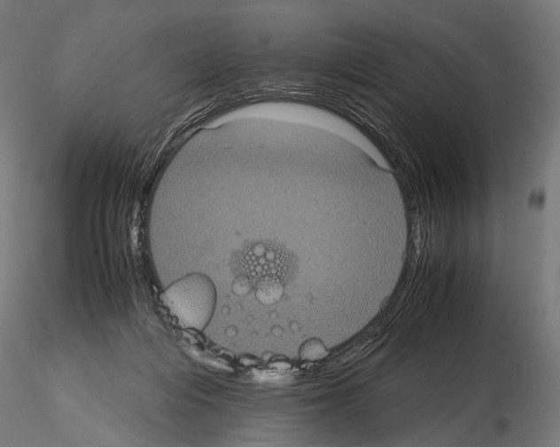 X0000115120216200912081352