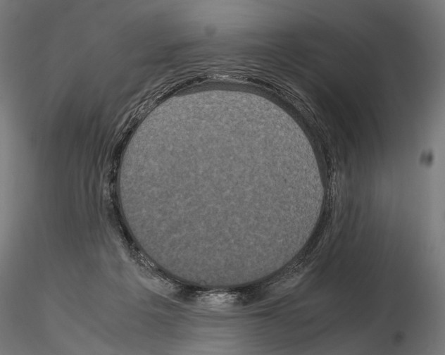 X0000115120217200912081352