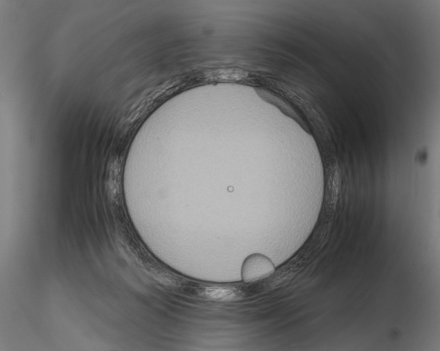 X0000115120218200912081352