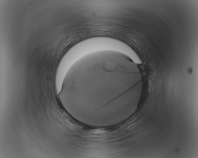 X0000115120219200912081352