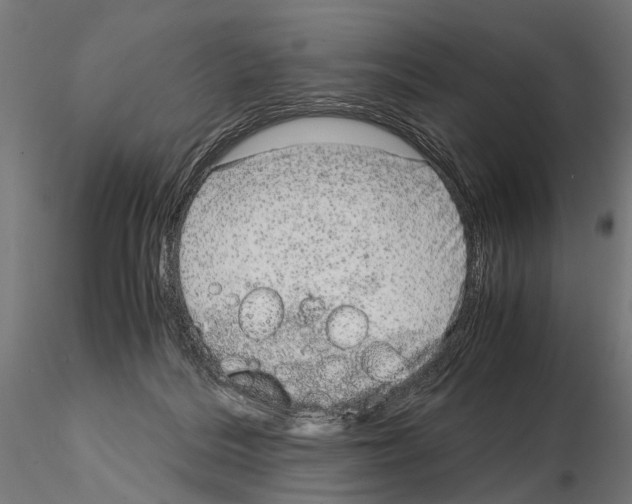 X0000115120220200912081352