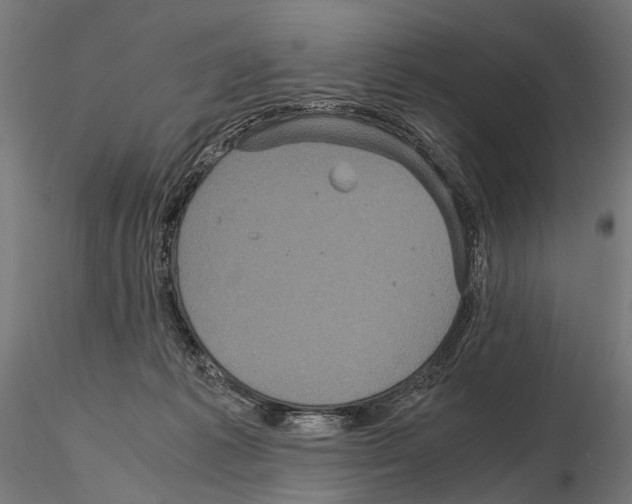 X0000115120221200912081352