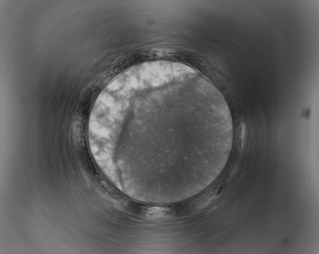 X0000115120222200912081352