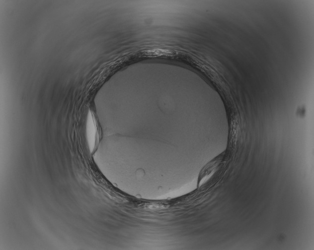 X0000115120223200912081352