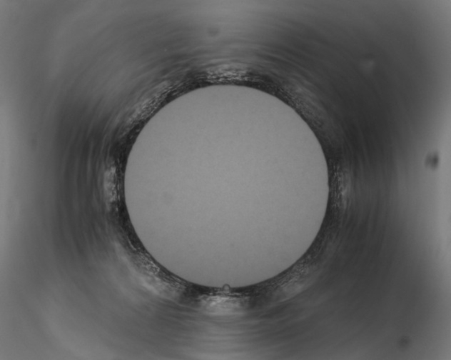 X0000115120224200912081352