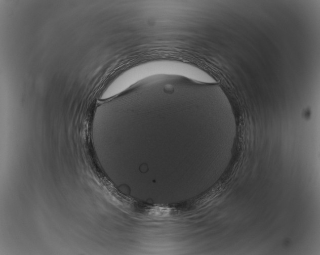 X0000115120227200912081352