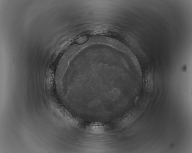 X0000115120228200912081352