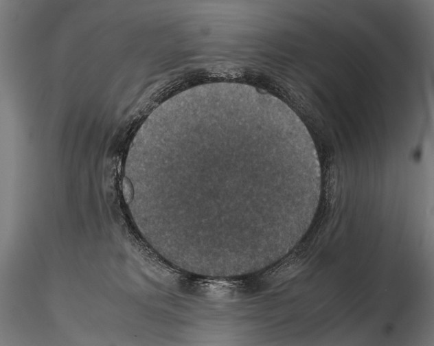 X0000115120229200912081352