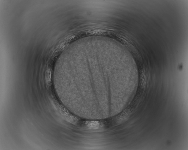 X0000115120230200912081352