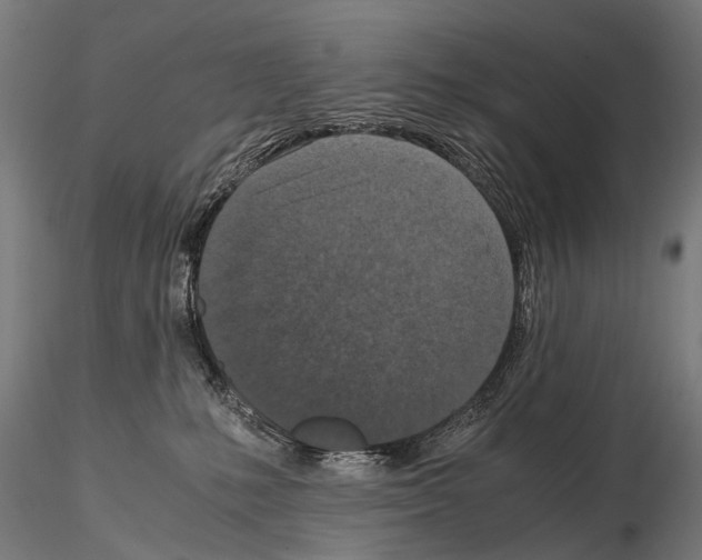 X0000115120231200912081352