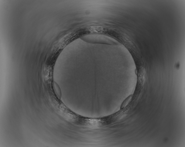 X0000115120233200912081352